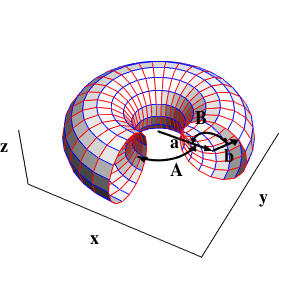 Torus in 3 dimensions