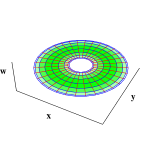 Torus in 3 dimensions, (x, y, w) view