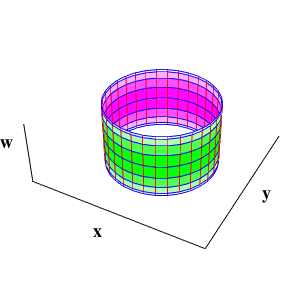 Torus in 4 dimensions, (x, y, w) view