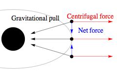Net force on astronaut at a fixed distance above or below plane of orbit
