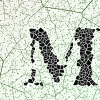 Morphotrophic