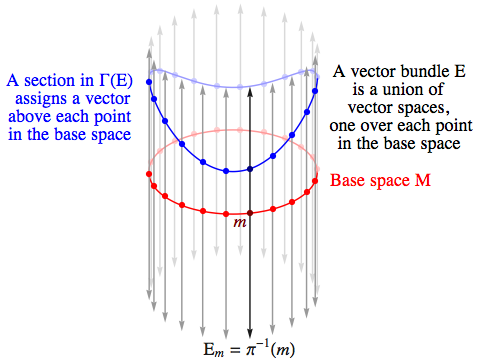 Vector bundle over a circle