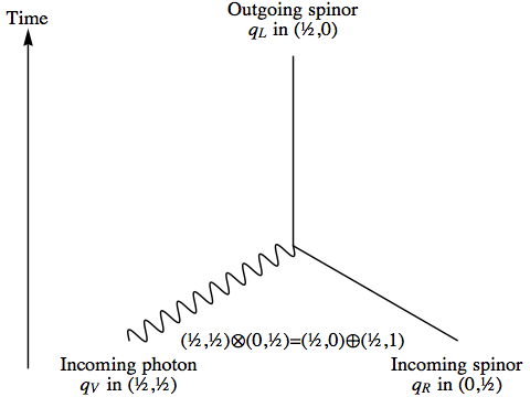 Spinor absorbs photon